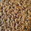 Noci Sgusciate 1 kg – Ideali per Pasticceria, Snack e Ricette Gourmet
